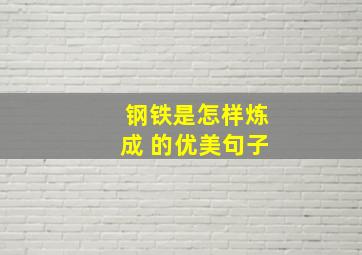 钢铁是怎样炼成 的优美句子